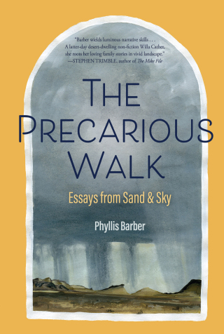 صورة الغلاف: The Precarious Walk 9781948814591