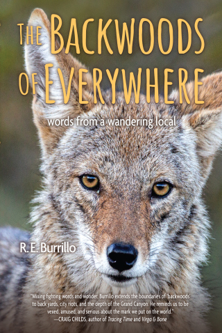 Cover image: The Backwoods of Everywhere 9781948814614
