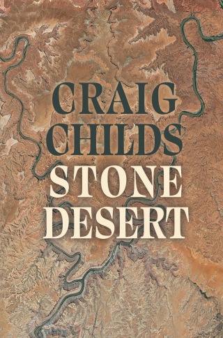 Cover image: Stone Desert 9781948814713