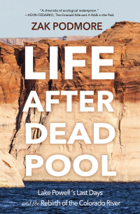 Cover image: Life After Dead Pool 9781948814966