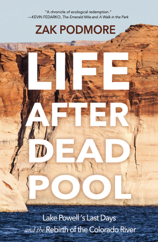 Cover image: Life After Dead Pool 9781948814966