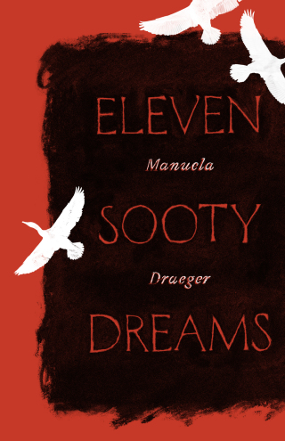 Imagen de portada: Eleven Sooty Dreams 9781948830263