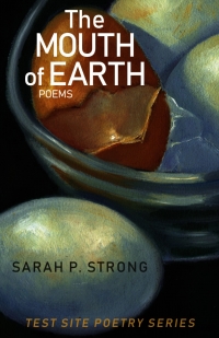 Cover image: The Mouth of Earth 9781948908849