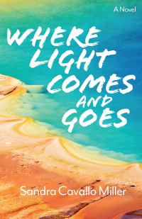 Imagen de portada: Where Light Comes and Goes 9781948908948