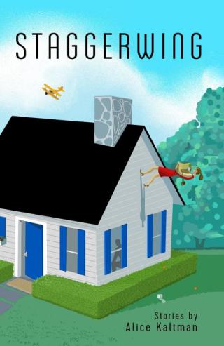 Titelbild: Staggerwing 9780986092275