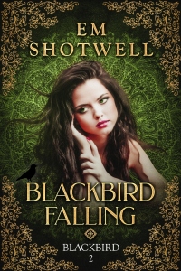 Cover image: Blackbird Falling 9781949090116