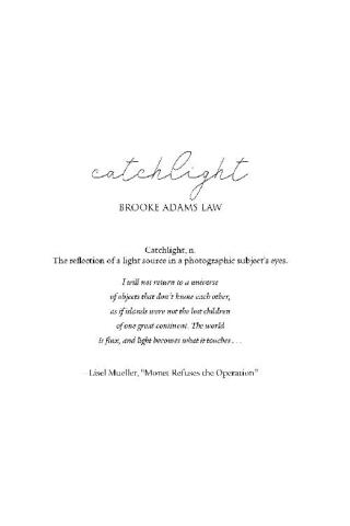 Imagen de portada: Catchlight 9781949116182