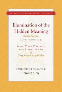 Cover image: Illumination of the Hidden Meaning Vol. 2 9781949163049