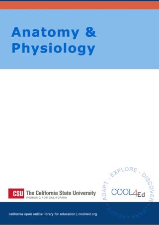 Cover image: Anatomy and Physiology CSU Interactive OpenStax 9781949306019