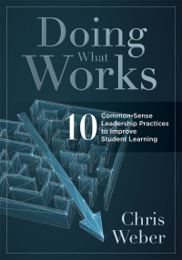 Cover image: Doing What Works 1st edition 9781949539196