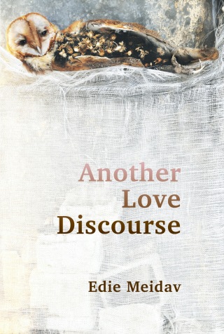 Cover image: Another Love Discourse 9781949597202
