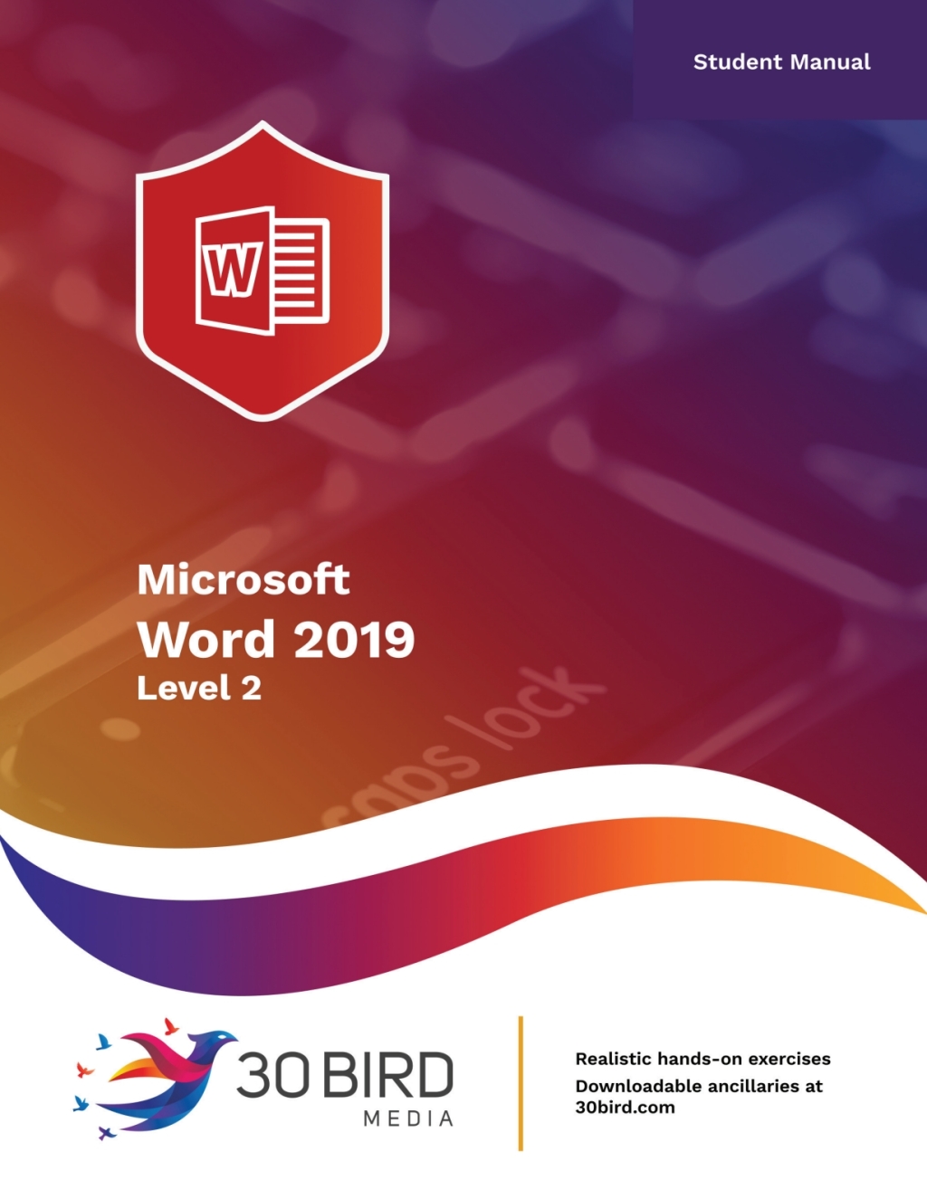 Microsoft Word 2019 Level 2 (Student Edition) 1st Edition