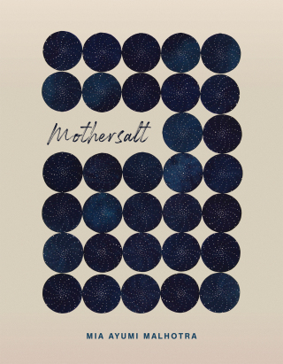 Cover image: Mothersalt 9781949944723