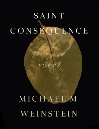 Cover image: Saint Consequence 9781949944747