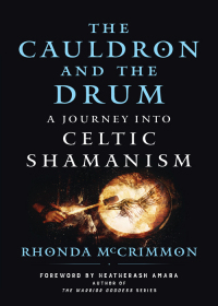 Omslagafbeelding: The Cauldron and the Drum 9781950253456