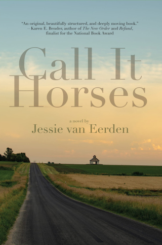 Cover image: Call It Horses 9781950539253