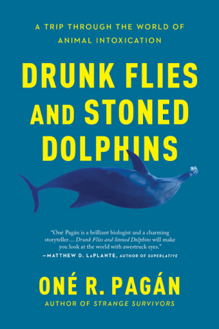 Cover image: Drunk Flies and Stoned Dolphins 9781950665372