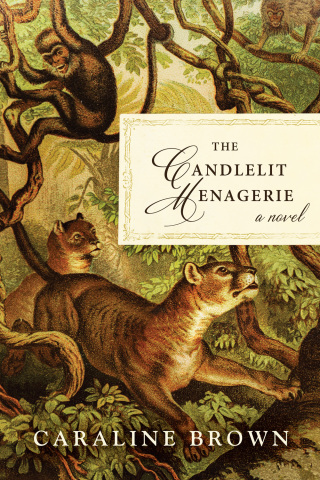 Cover image: The Candlelit Menagerie 9781950691555