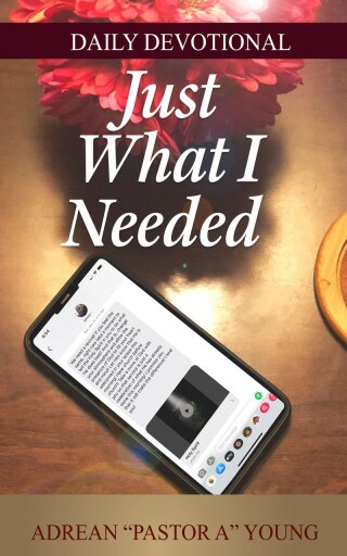 Cover image: Just What I Needed 1st edition 9781950719853