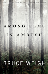 Omslagafbeelding: Among Elms, in Ambush 9781950774418