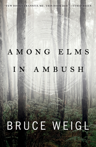 Imagen de portada: Among Elms, in Ambush 9781950774418