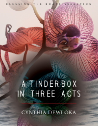 Omslagafbeelding: A Tinderbox in Three Acts 9781950774715