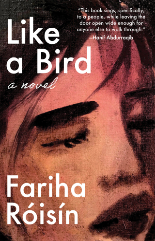 Cover image: Like a Bird 9781951213091