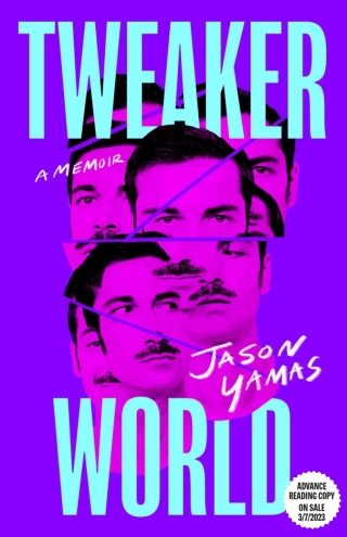 Imagen de portada: Tweakerworld 9781951213701