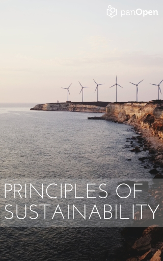 Imagen de portada: Principles of Sustainability 1st edition 9781951283124