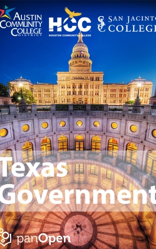 Cover image: Texas Government 1st edition 9781951283148