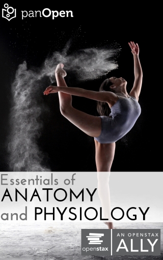 Cover image: Essentials of Anatomy & Physiology 1st edition 9781951283162