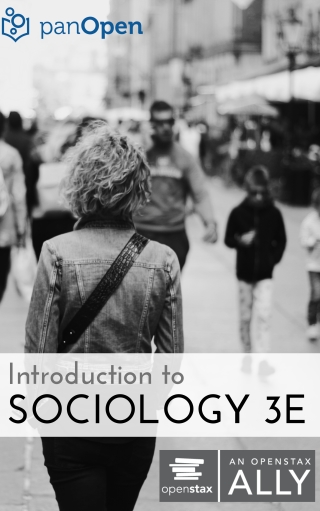 Cover image: Introduction to Sociology 3e 3rd edition 9781951283216