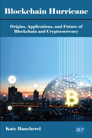 Cover image: Blockchain Hurricane 9781951527365