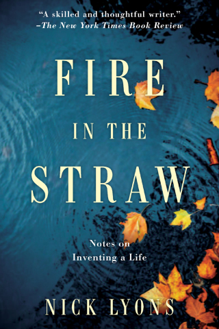 Cover image: Fire in the Straw 9781951627195