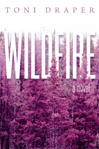 Cover image: Wildfire 9781951954079
