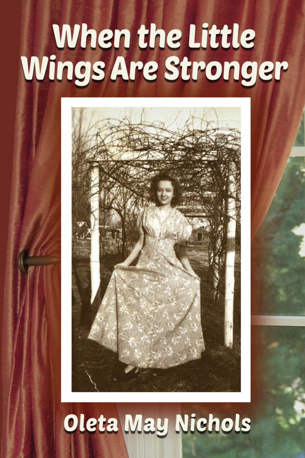 When the Little Wings are Stronger eBook