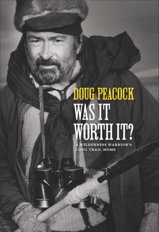 Imagen de portada: Was It Worth It? 9781952338045