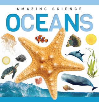 Imagen de portada: Oceans 1st edition 9781952455261