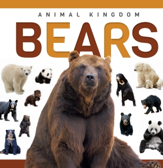 Imagen de portada: Bears 1st edition 9781952455308