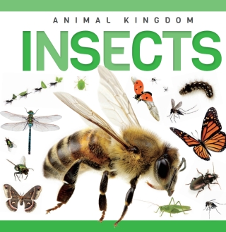 Imagen de portada: Insects 1st edition 9781952455315