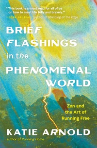 Cover image: Brief Flashings in the Phenomenal World 9781952692697