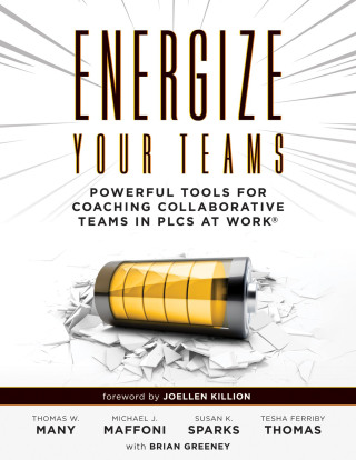 Cover image: Energize Your Teams 1st edition 9781952812279