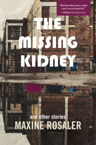 Cover image: The Missing Kidney and other stories 9781953002556