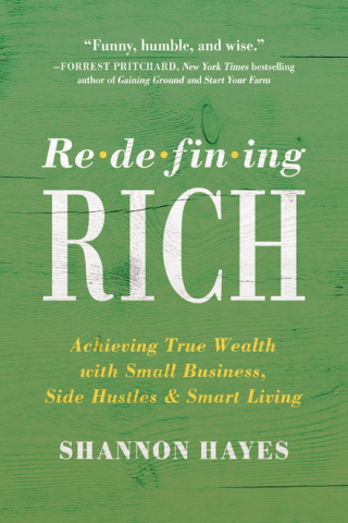 Cover image: Redefining Rich 9781950665891
