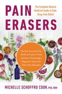 Cover image: Pain Erasers 9781953295514