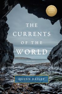 Imagen de portada: Currents of the World 1st edition 9781947003880