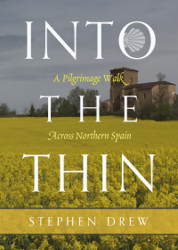 Cover image: Into the Thin 9781947003767