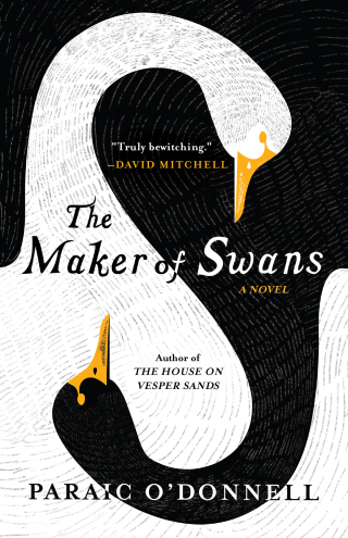Cover image: The Maker of Swans 9781953534200