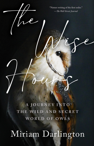 Cover image: The Wise Hours: A Journey into the Wild and Secret World of Owls 9781953534835