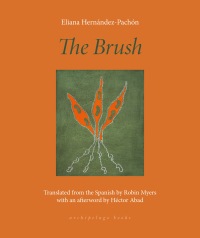 Cover image: The Brush 9781953861863